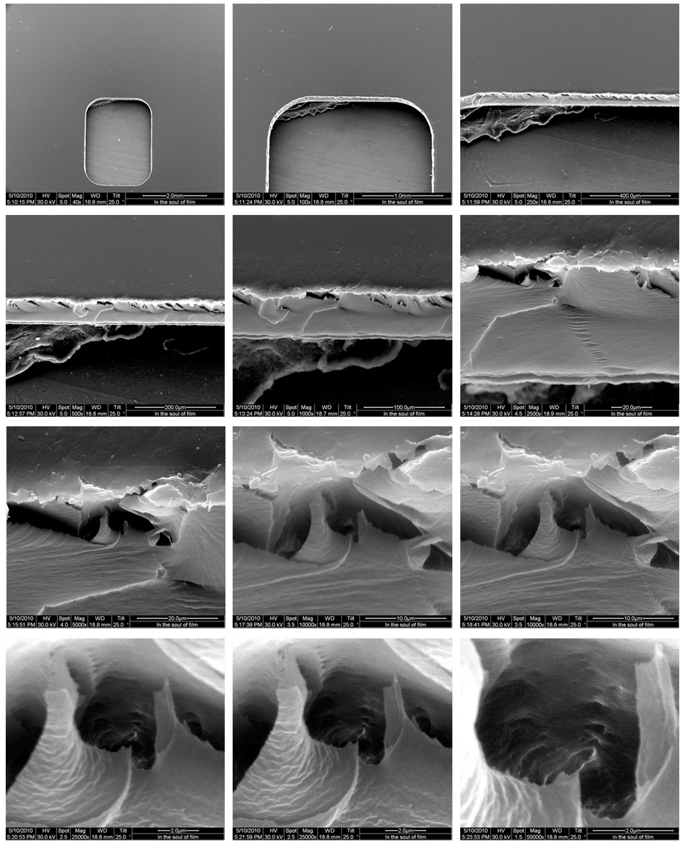 Solo show ARCO Madrid 2014