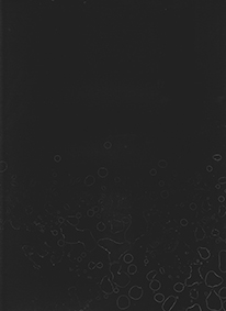 AIC Drac Île-de-France 2020