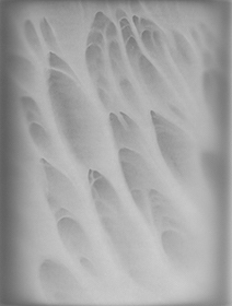 Black and white positive photograms created with fire technique by Juliana Borinski, Fire Walk with Me