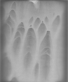 Histoire photosensible — Fondation HCB 2016