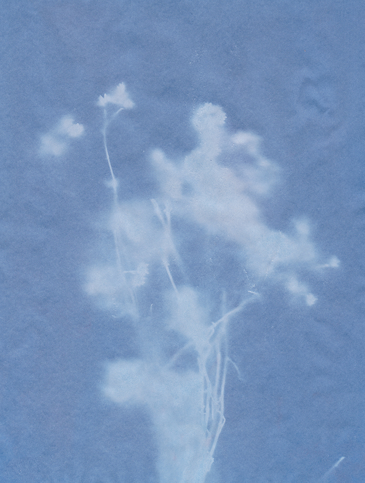 Field Within — Academy of Fine Arts Vienna 2019