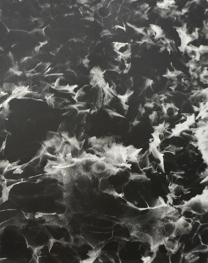 De Rerum Natura — Ithaque Paris 2022